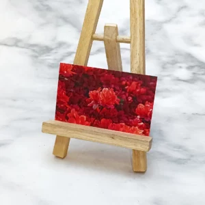 木製畫架上展示的印刷畫作。