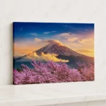 72.5×60.5cm 無框畫