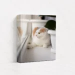 50x50cm 無框畫
